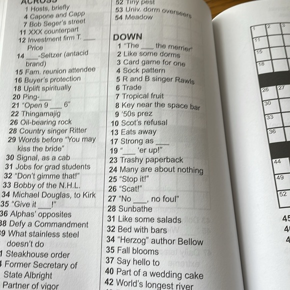 Funster 100+ Large Print Easy Crossword Puzzles - Picture 5 of 5